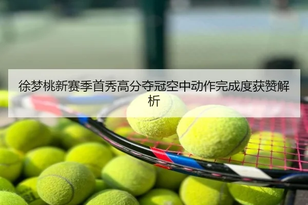 徐梦桃新赛季首秀高分夺冠空中动作完成度获赞解析
